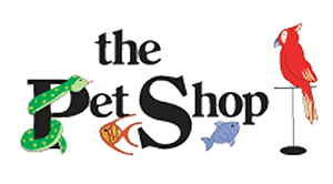 Pet Shop Boston Matching Our Pets With Dedicated Owners